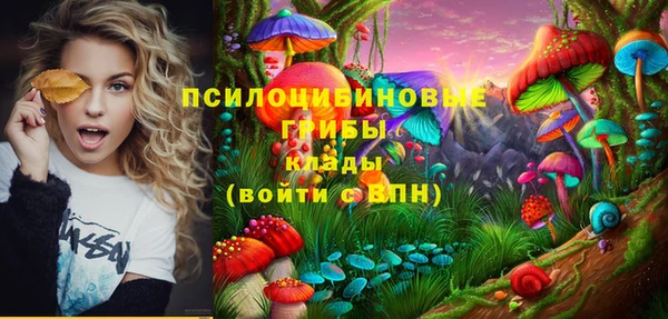 герыч Верхний Тагил