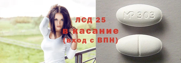 ГАЛЛЮЦИНОГЕННЫЕ ГРИБЫ Верея