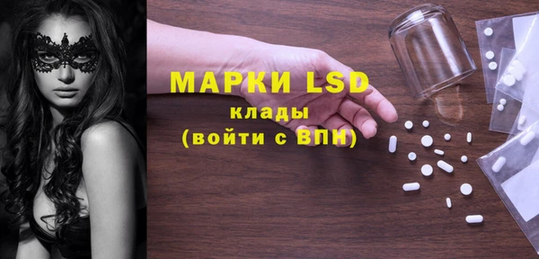 ГАЛЛЮЦИНОГЕННЫЕ ГРИБЫ Верея