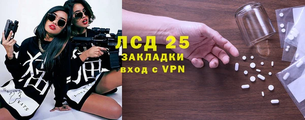 ГАЛЛЮЦИНОГЕННЫЕ ГРИБЫ Верея