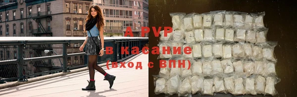 ГАЛЛЮЦИНОГЕННЫЕ ГРИБЫ Верея