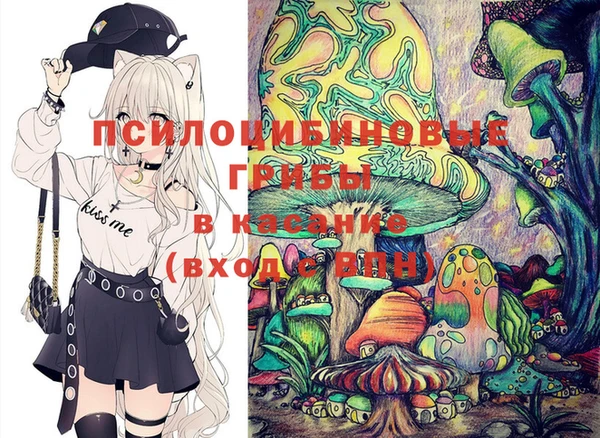 ГАЛЛЮЦИНОГЕННЫЕ ГРИБЫ Верхнеуральск